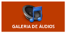 GALERIA DE AUDIOS