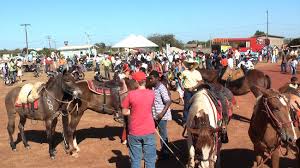 Juíza da 2º Vara regulamenta  participação de menores no desfile e Expoju 2015
